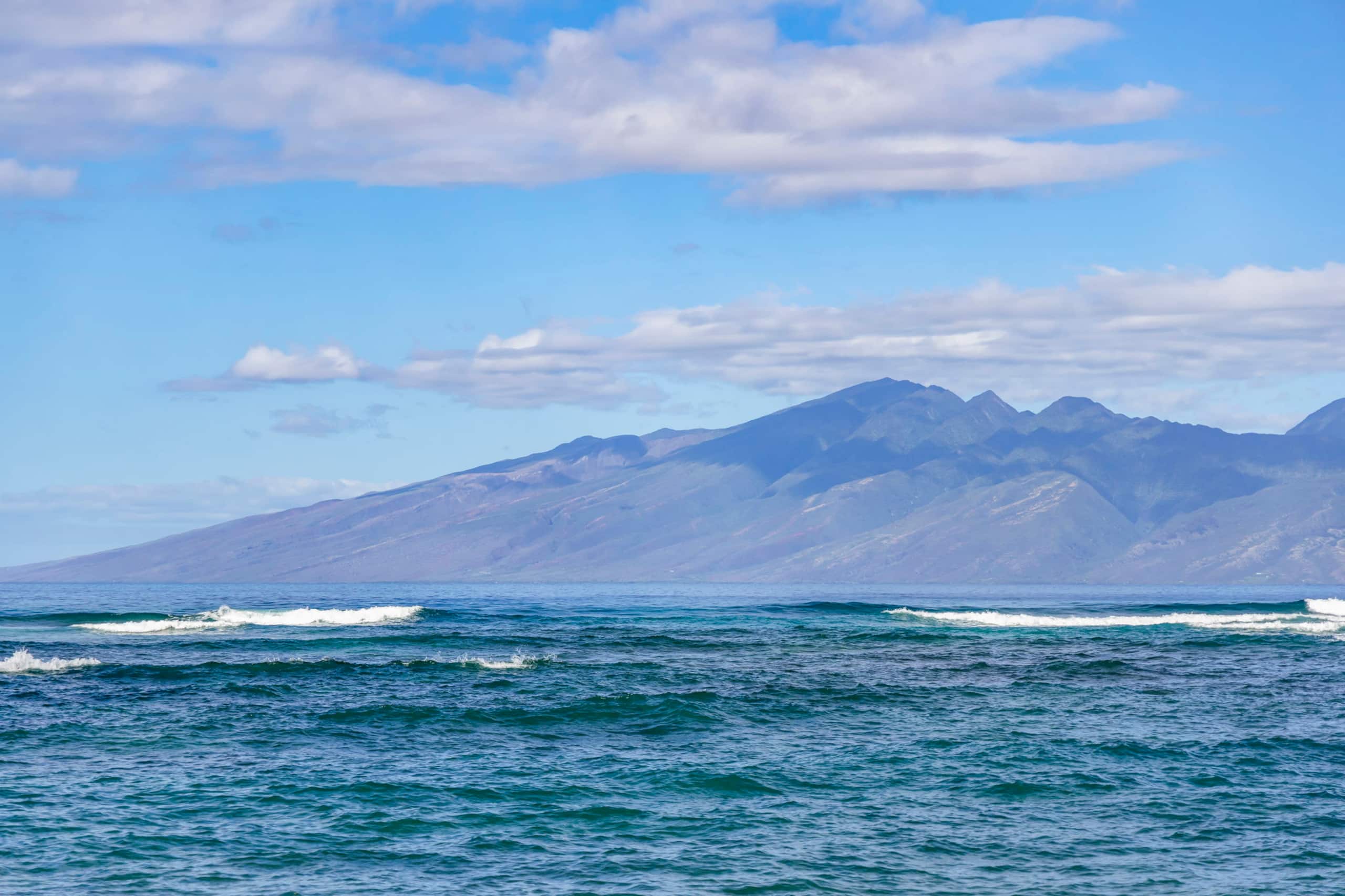 Condo in Lahaina · ★4.95 · 1 bedroom · 1 bed · 1 bath - Image 30