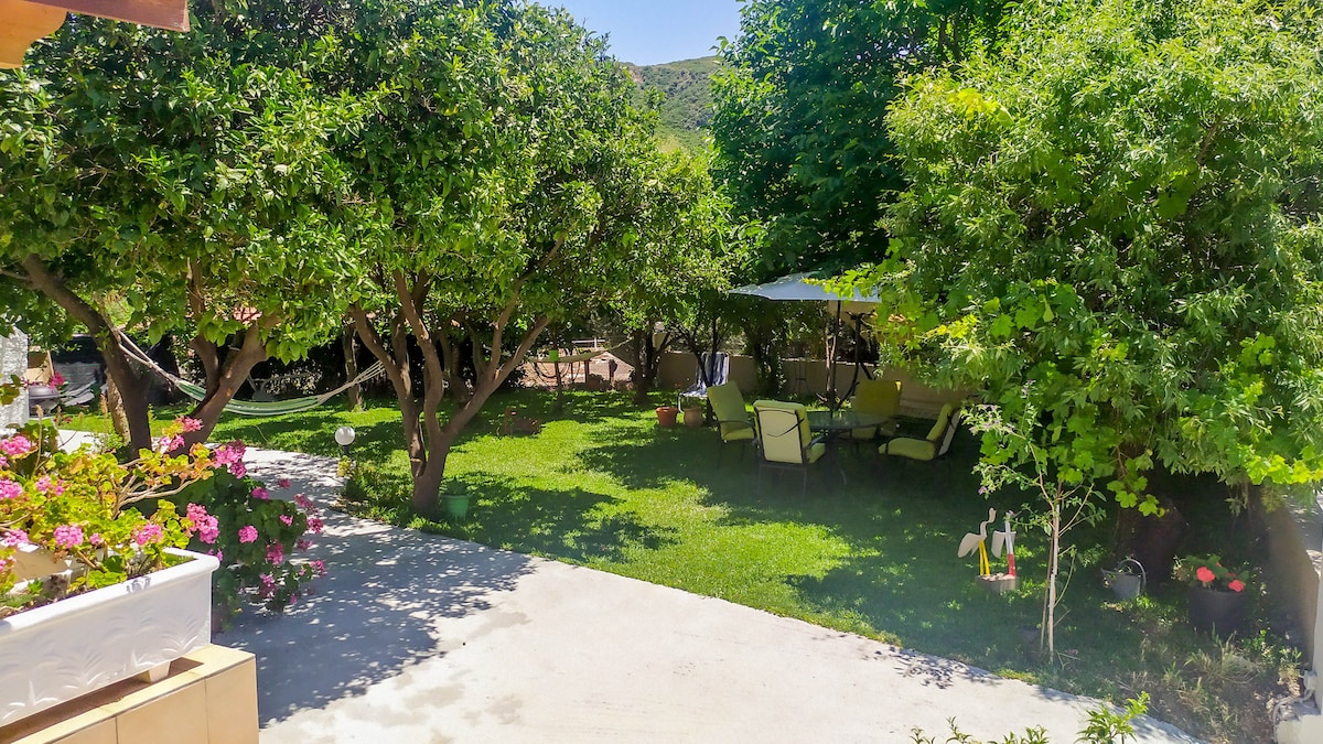 A lush garden is surrounded by fruit trees, featuring a well-maintained lawn. Comfortable outdoor seating is arranged under a shaded canopy, while colorful flowers adorn the nearby planter. A peaceful setting invites relaxation amidst the greenery.