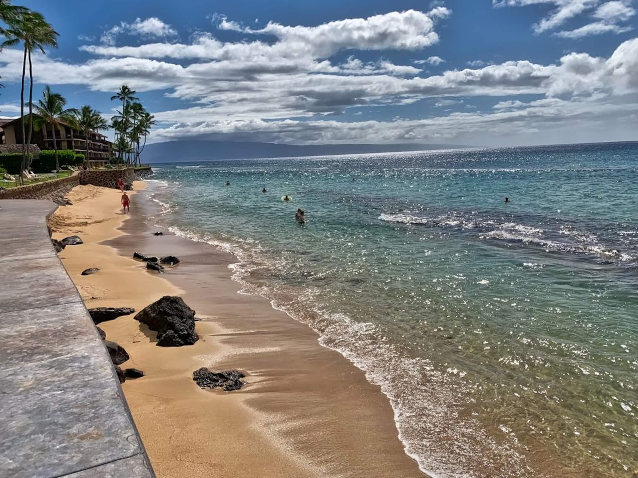 Condo in Lahaina · ★4.94 · 2 bedrooms · 4 beds · 1 bath - Image 24