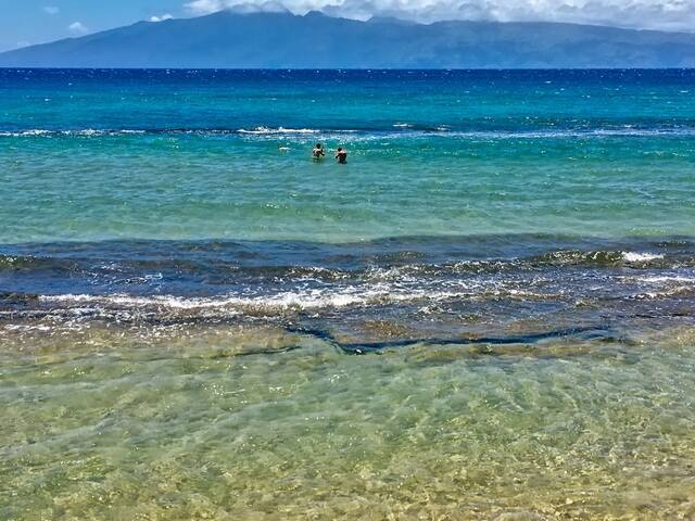 Spectacular Oceanfront Gem!