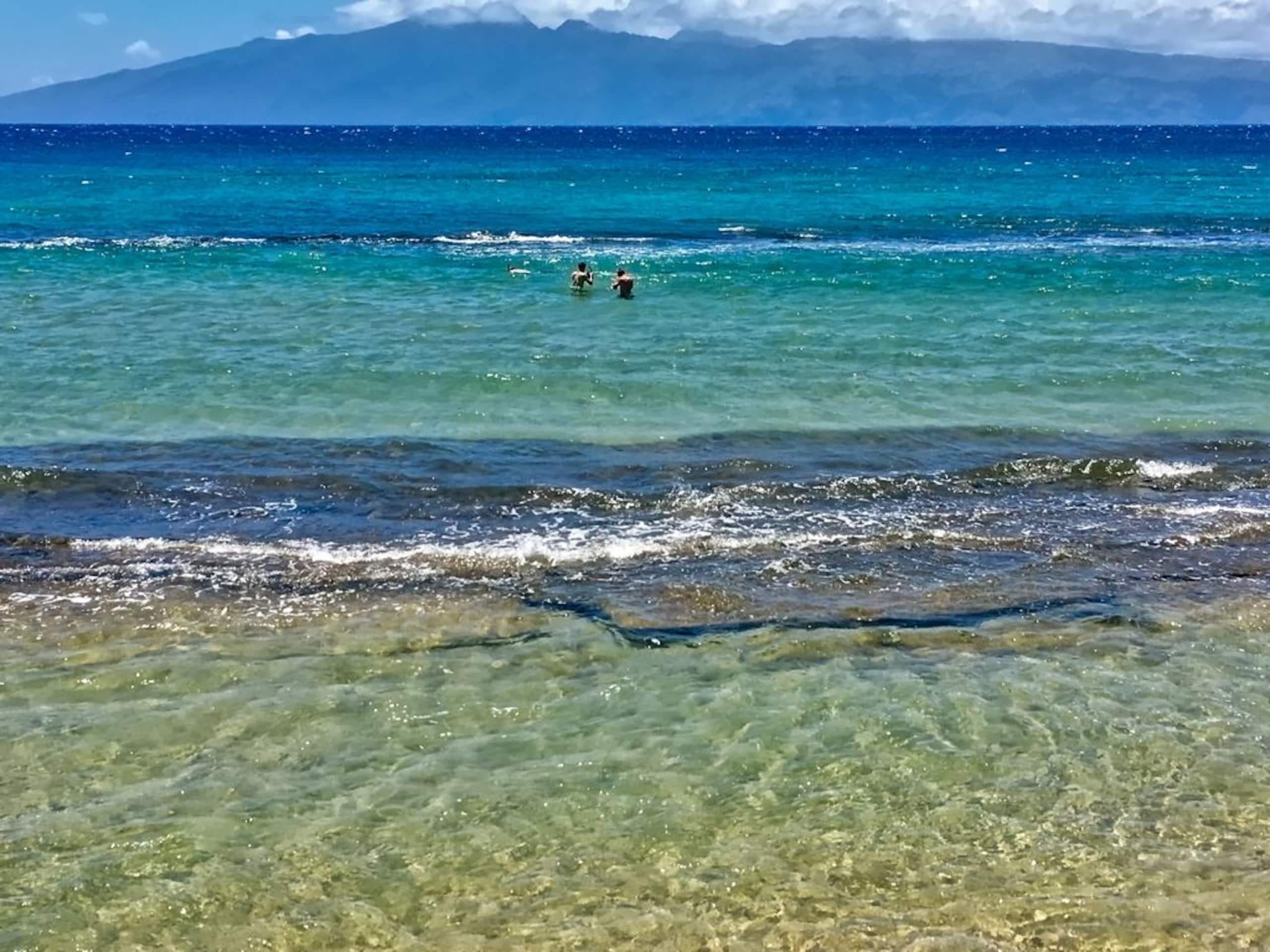 Condo in Lahaina · ★4.94 · 2 bedrooms · 4 beds · 1 bath - Image 1