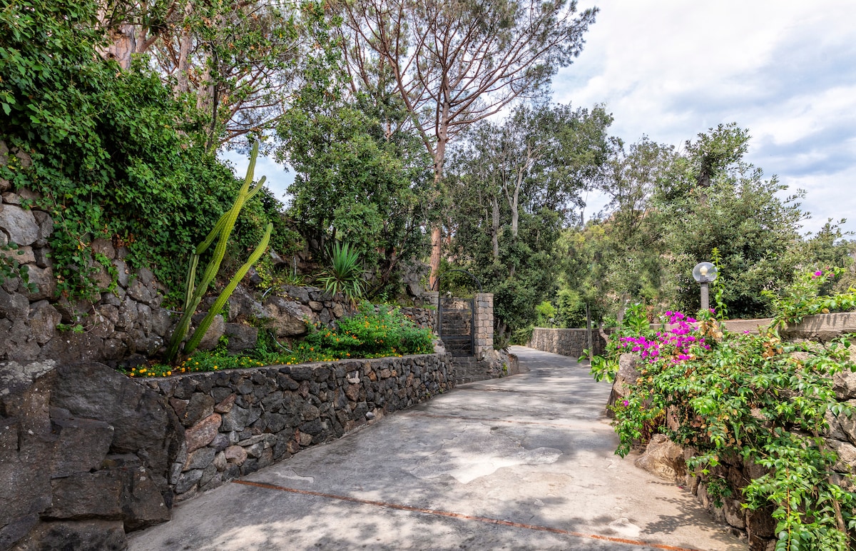 A stone pathway winds through a lush garden, bordered by vibrant greenery and flowering plants. Tall trees provide shade, while the natural stone walls add texture to the serene landscape. Soft sunlight filters through the foliage, enhancing the tranquil atmosphere.