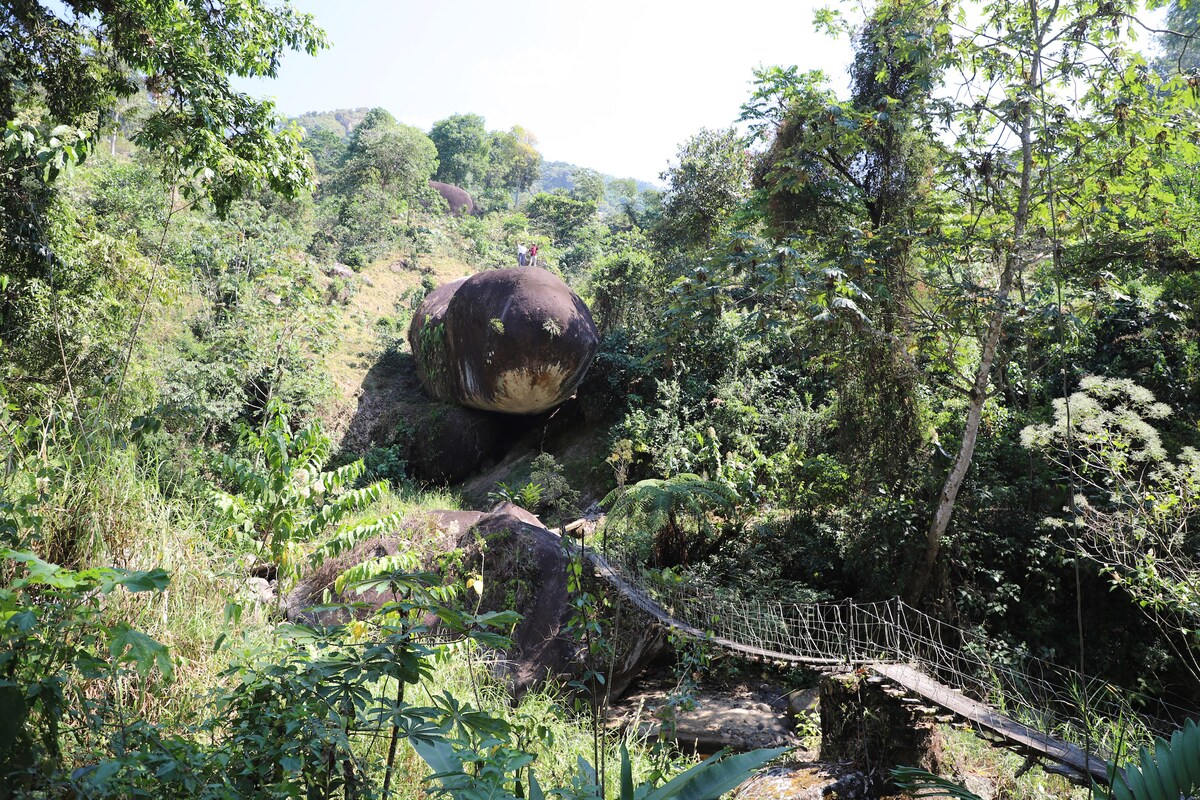 A large boulder rests among lush green vegetation, surrounded by various trees and shrubs. A narrow suspension bridge crosses a small stream, connecting two areas of the landscape. Sunlight filters through the foliage, illuminating the diverse textures of the natural surroundings.