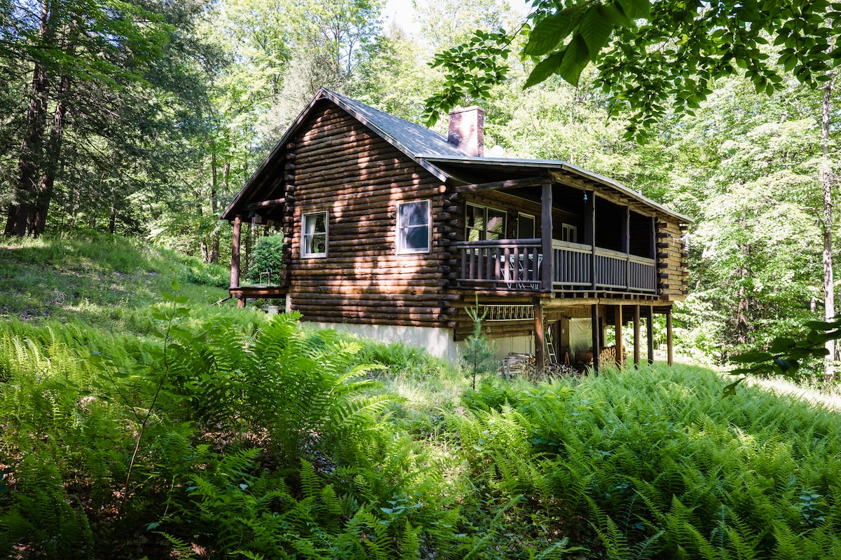 An authentic log cabin is nestled among lush ferns in a wooded area. The structure features a wide porch with railing, several windows allowing natural light, and a chimney. The surrounding greenery enhances the cabin's secluded feel.