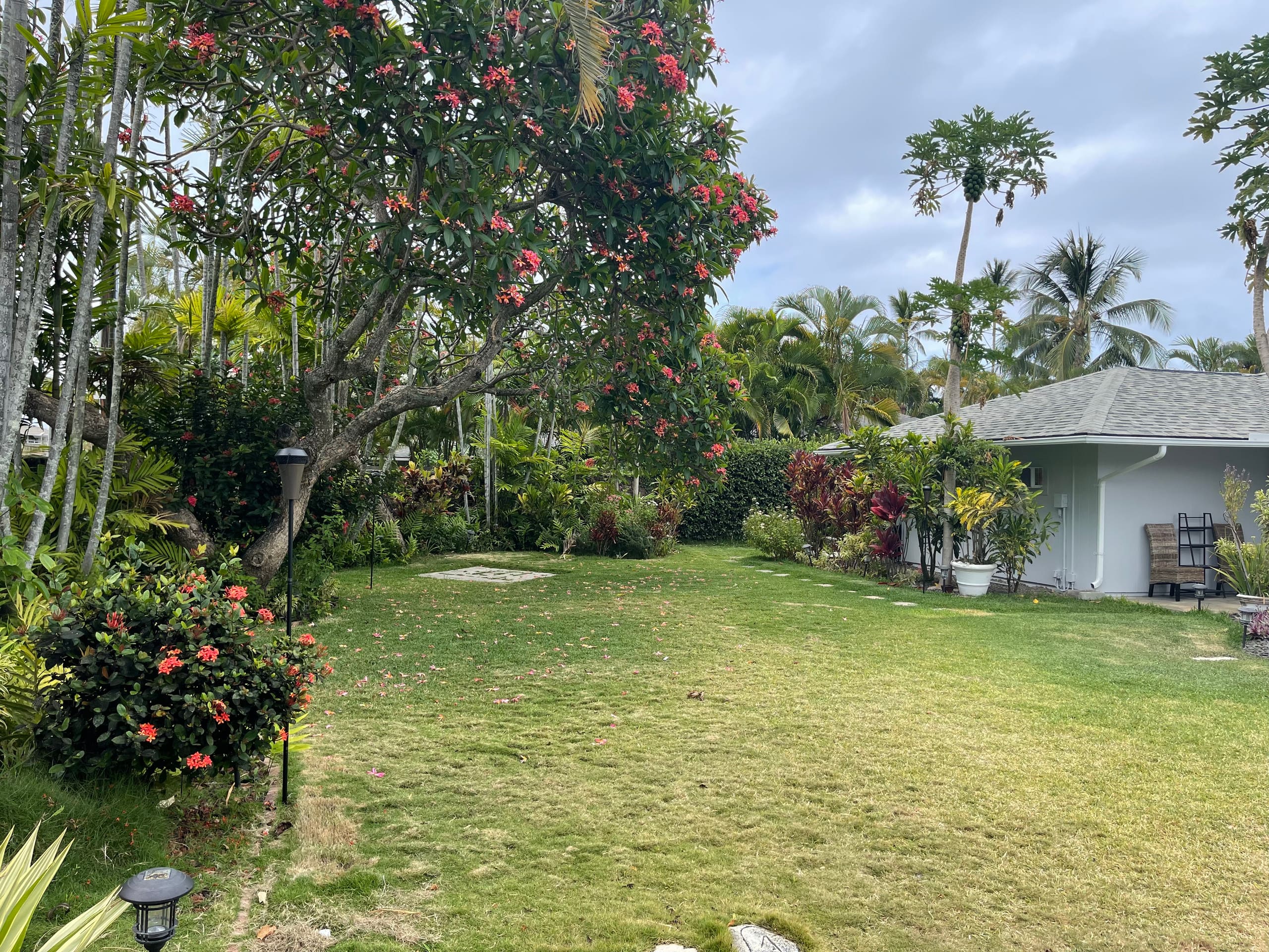 Place to stay in Kailua · ★4.96 · 1 bedroom · 1 bed · 1 private bath - Image 33