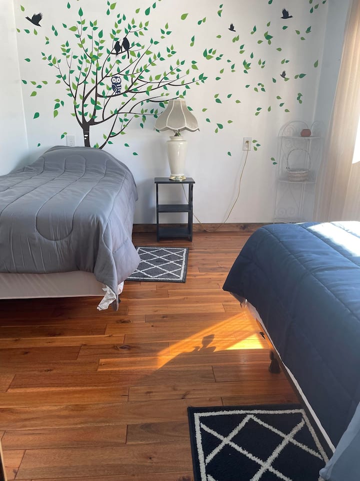 2 Twin Beds