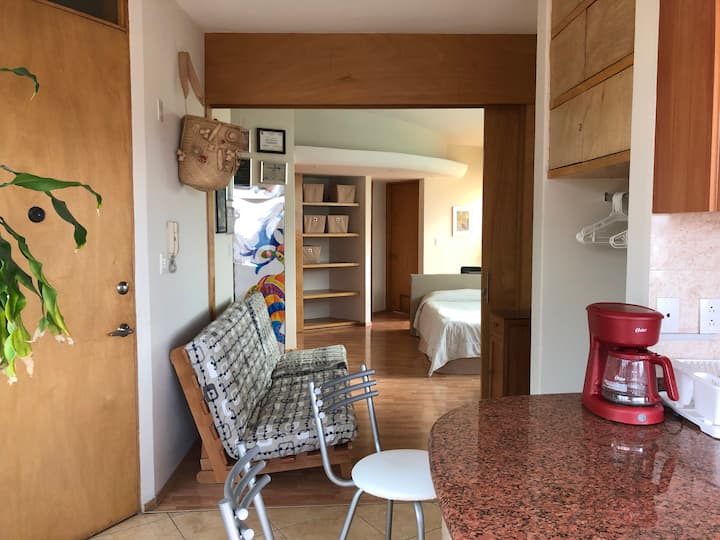 Beautiful Pent House With Roof Garden - Mexico City