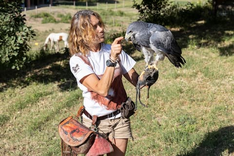 The Eagle and the Olive Tree