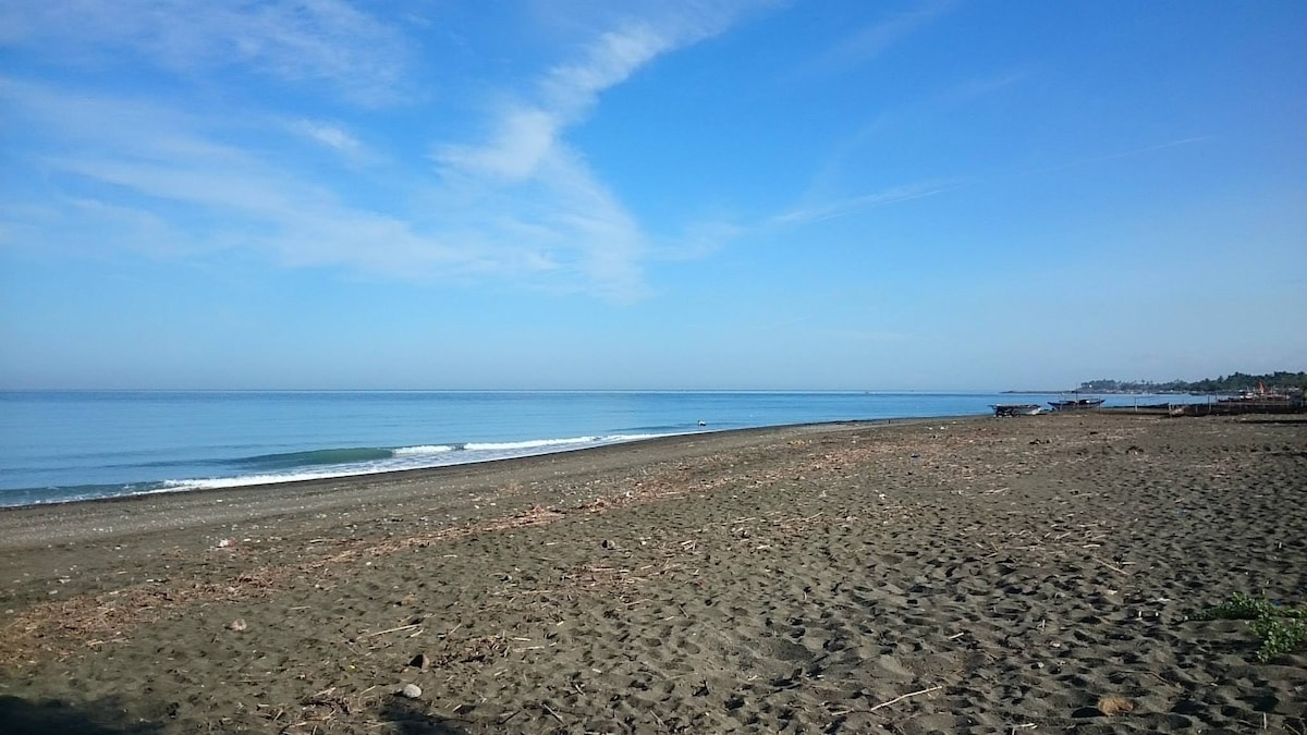A sandy beach stretches under a clear blue sky, blending into calm ocean waters. Gentle waves lap at the shore, with sparse vegetation dotted along the beach. The horizon meets the water, creating a seamless view of tranquility.