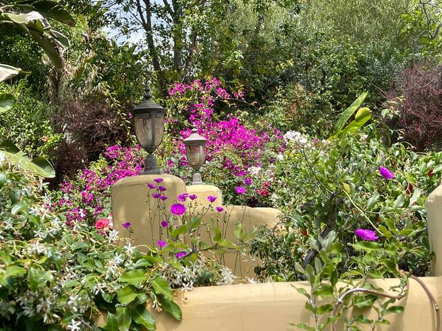 NEW Rare HIstoric Hancock Park Home w/Lush Gardens