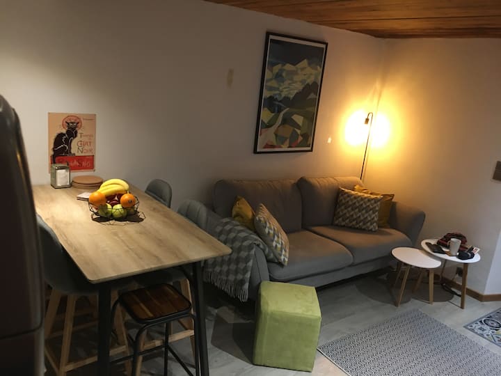 Ski Or Hiking Apartment Near Glacier With Garden - Chamonix-Mont-Blanc