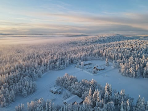 Cozy lodging on a husky farm in Lapland