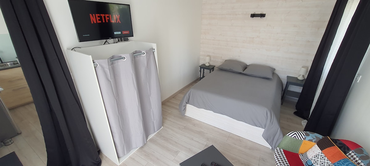 A sleeping area features a spacious bed with gray linens, complemented by two bedside tables with lamps. A television mounted on the wall displays the Netflix logo. Soft curtains frame a window, adding to the inviting ambiance.