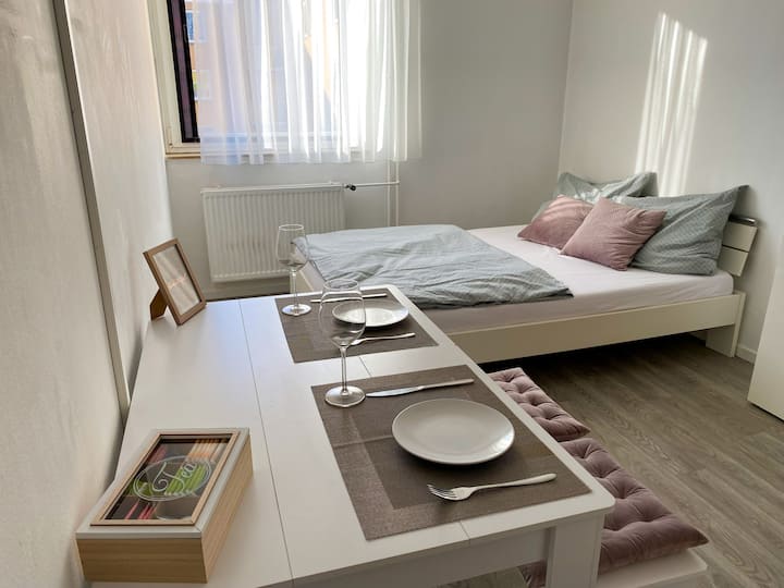 Mannheim Vacation Rentals | Airbnb