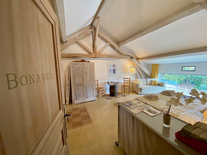 Suite Bonaguil 
1 cama en 180 + 1 sofá cama en 140