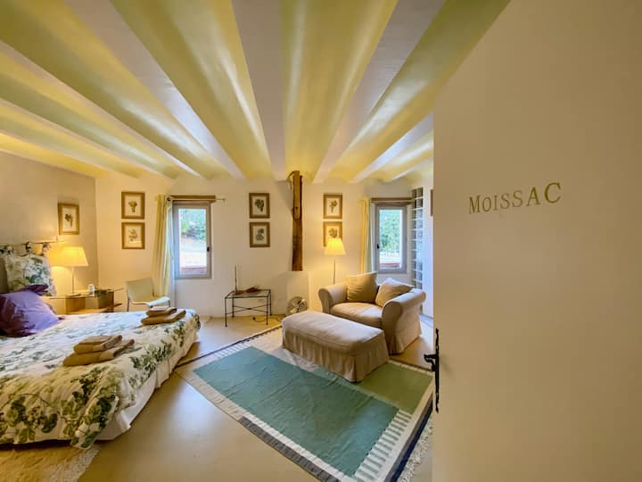 Moissac Suite 
1 cama en 180 