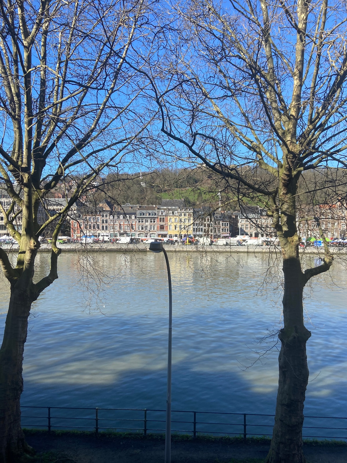 A view from the apartment showcases the Meuse River lined with charming buildings. Tall trees frame the scene, and a streetlamp stands along the water's edge. The clear blue sky complements the tranquil waters, creating a serene atmosphere.