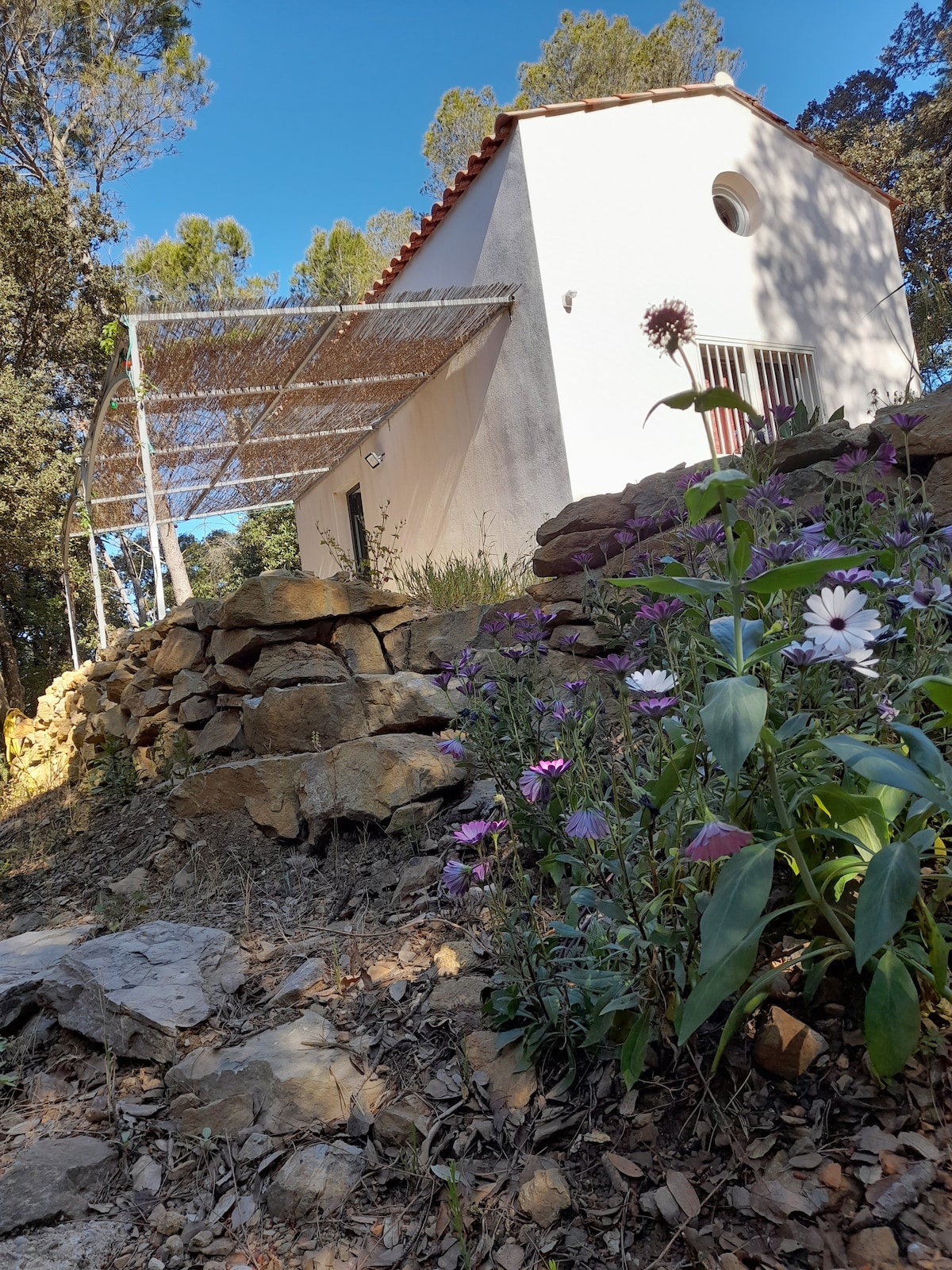 A gently sloping path leads to a white building surrounded by greenery. Wildflowers in varied colors are visible in the foreground, while the structure features a rounded window and an outdoor shaded area overhead, providing a connection to the natural landscape.