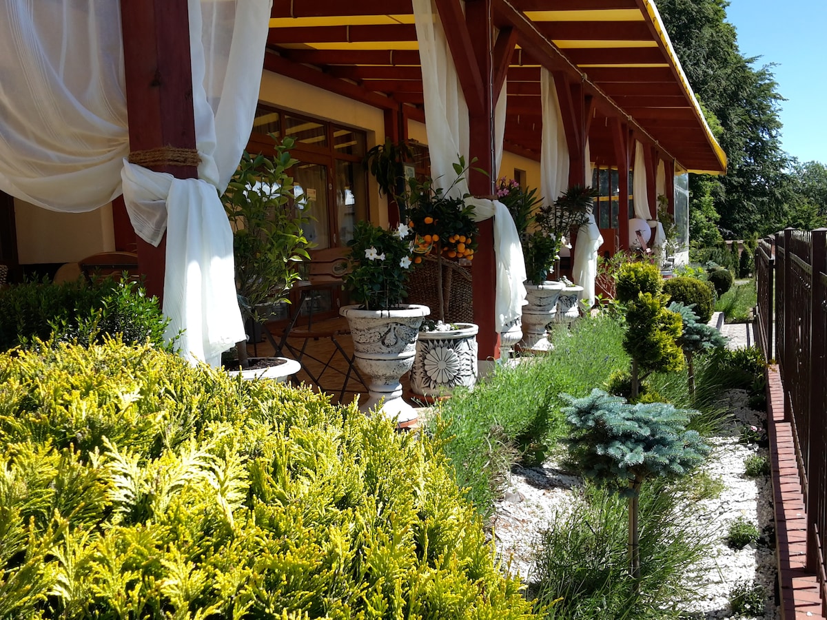 A colorful exterior is seen, featuring a covered terrace adorned with potted plants and a lush garden. Decorative pots line the walkway, surrounded by carefully maintained greenery. Natural light brightens the area, creating a welcoming space for relaxation.