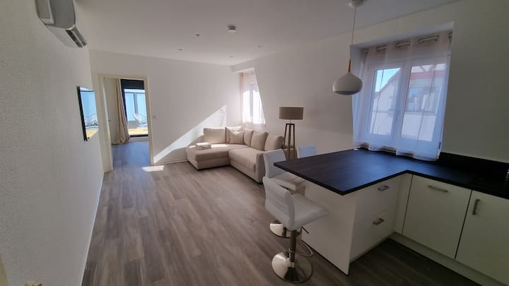 Beau 2 Pièces Neuf  Avec Terrasse Proche Bâle - Bazylea