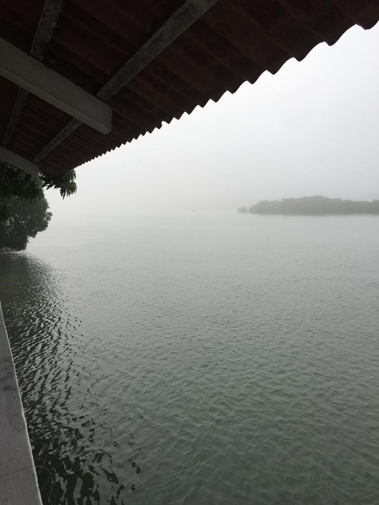A tranquil view of a foggy estuary is captured, with soft ripples across the water's surface. Dense mist envelops the distant shores, and the overhanging roof of the loft creates a sheltered spot for reflection. The atmosphere conveys a serene, quiet ambiance.