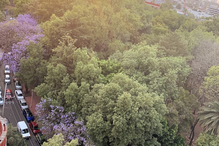 A/C, Amazing Location, 12th floor view, Fast Int. gallery image 2