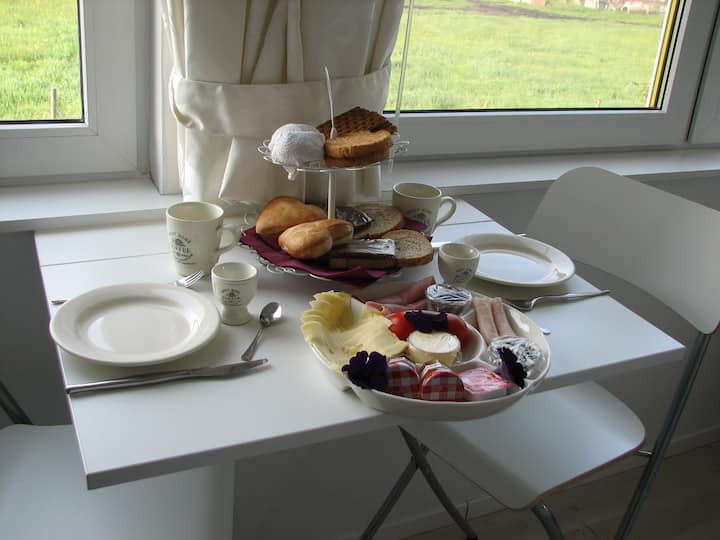 Sfeervolle, Landelijke B&b In Een Mooie Omgeving. - Ommen