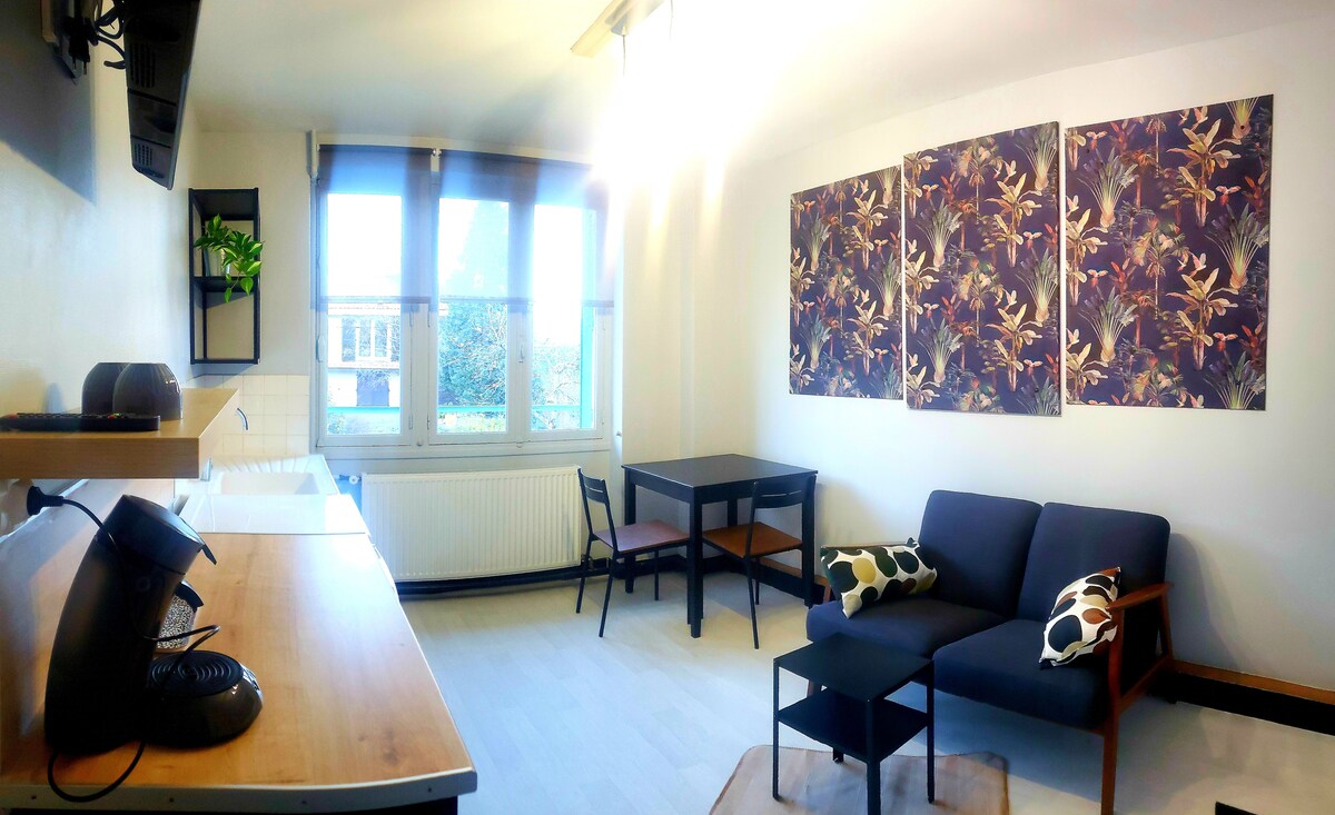 Propriété Airbnb réussie: Appartement rétro & douillet n°2 - parking privé à Royat