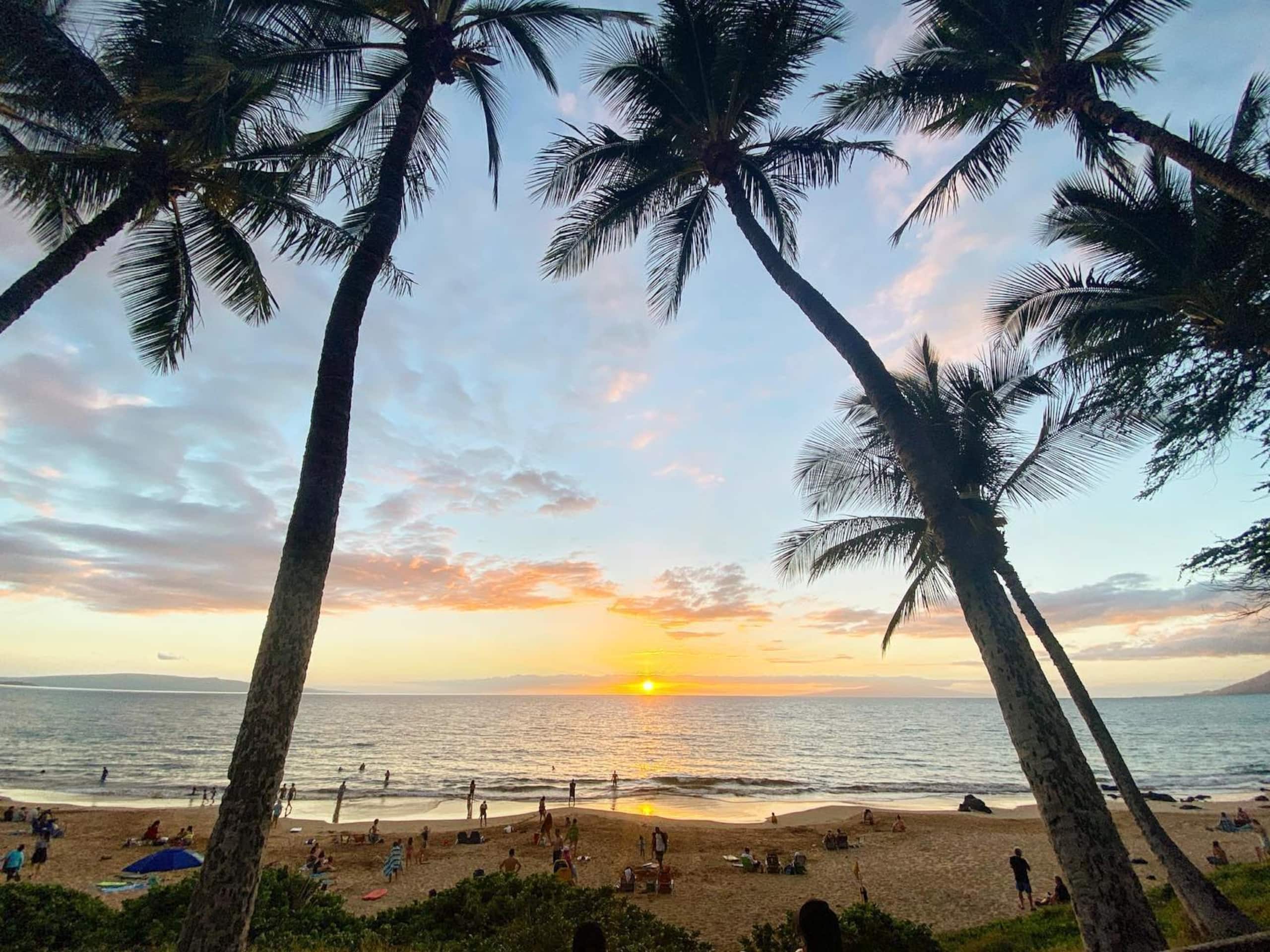 Beautiful beaches for swimming and sunsets! - Image 7