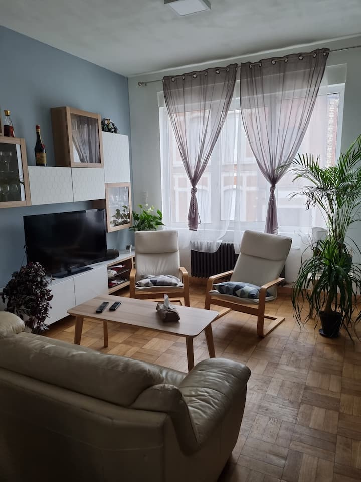 Maison Entière Et Extérieur Pour Famille Ou Groupe - Croix