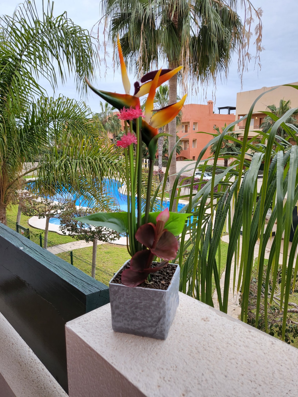 A decorative potted plant is displayed on a balcony ledge, featuring vibrant red and orange flowers. In the background, a communal pool is visible, surrounded by lush greenery and colorful buildings, enhancing the overall view of the outdoor space.