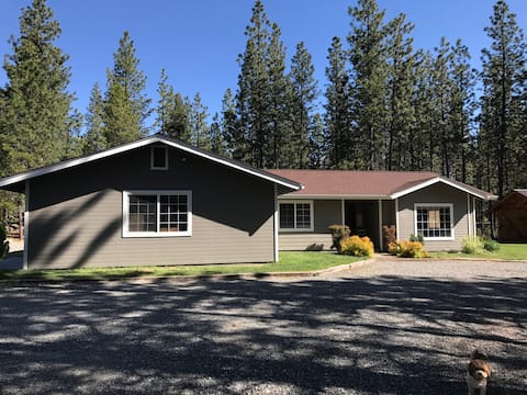 Great home on 5 acres with a pool