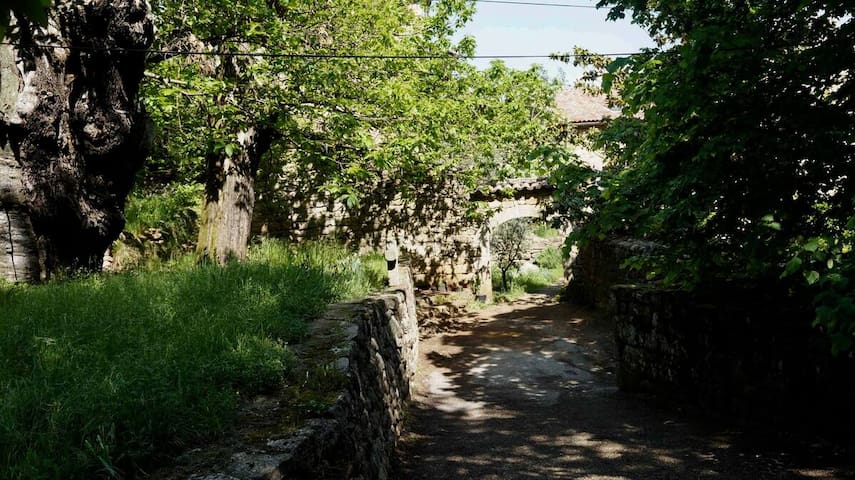 listing_image