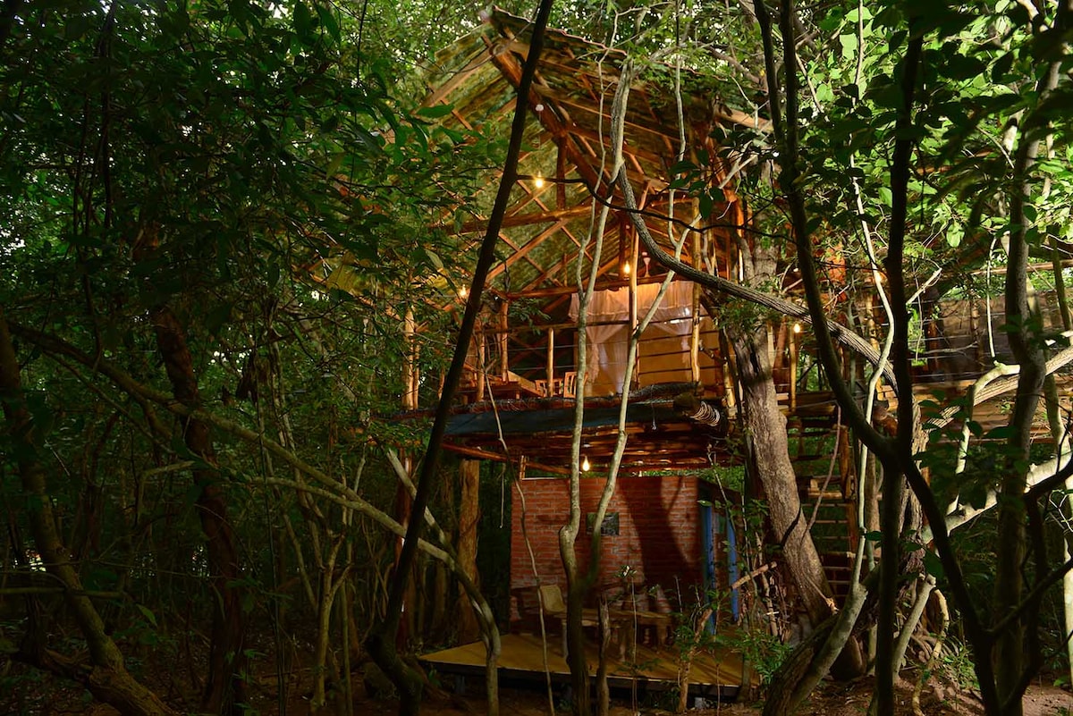 A charming treehouse is nestled among dense greenery, with wooden beams and rustic elements visible. Soft lighting emanates from inside, highlighting a cozy sleeping area and a balcony that extends towards the forest. The surrounding branches create a natural, secluded feel.