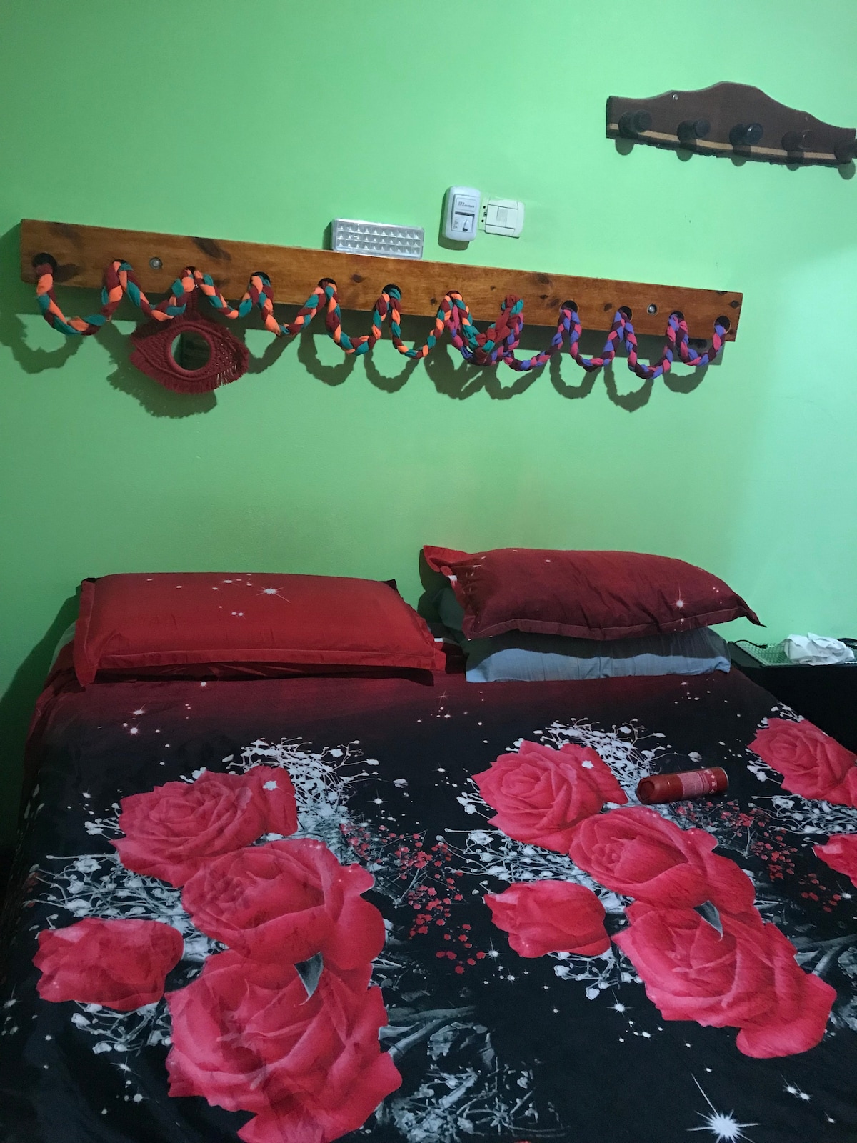 The sleeping area features a bed with a floral red bedspread and matching pillows. A wooden rack on the wall holds decorative items. A bright green wall enhances the inviting atmosphere of the room.