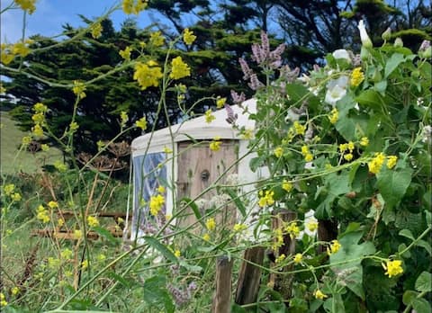Successful Airbnb property: A delightful handcrafted yurt in Georgeham