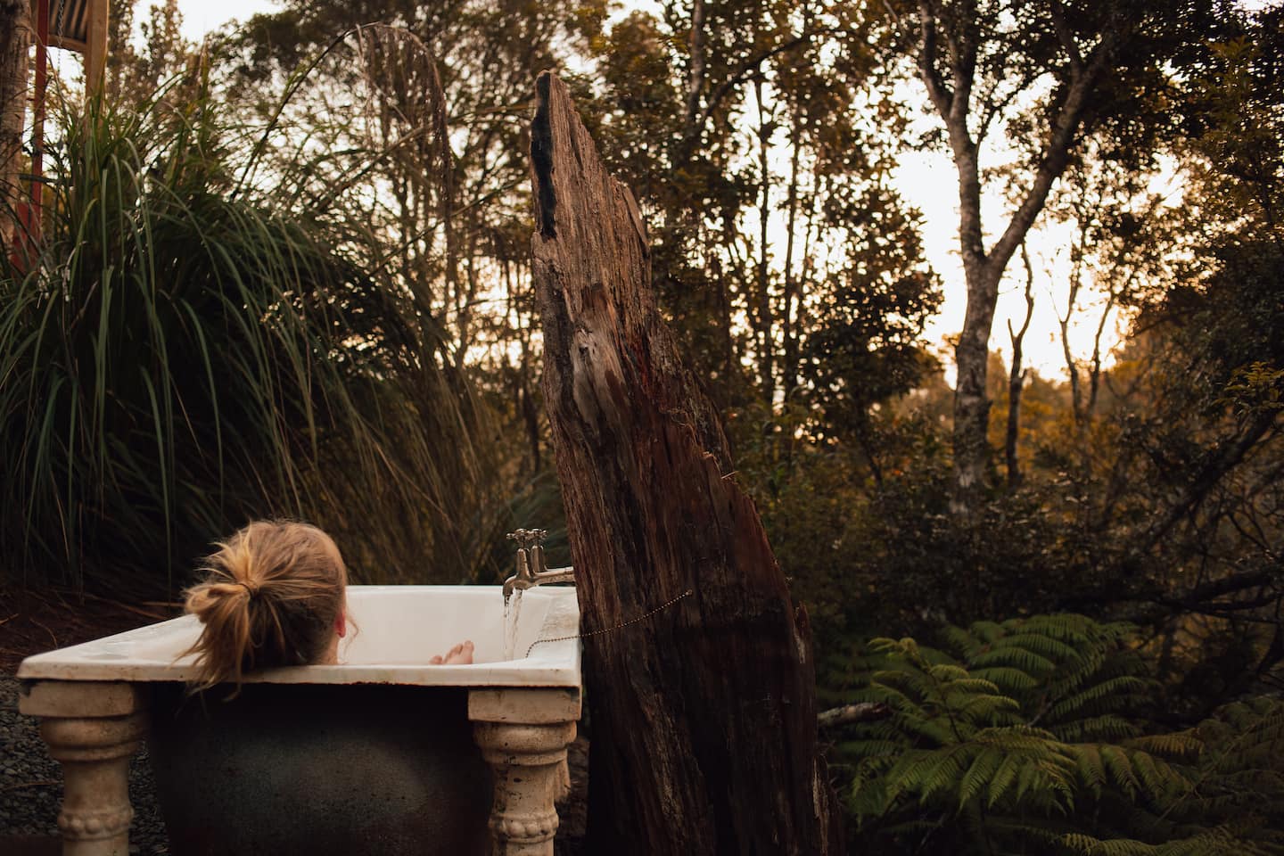Wild Forest Tree House Eco Retreat + Outdoor Bath 1