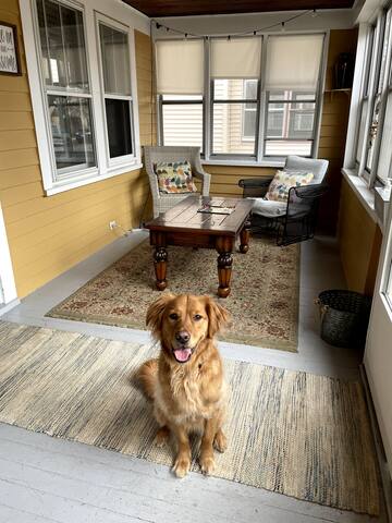 Fantastic home in the heart of it all! Pets, yes! gallery image 2