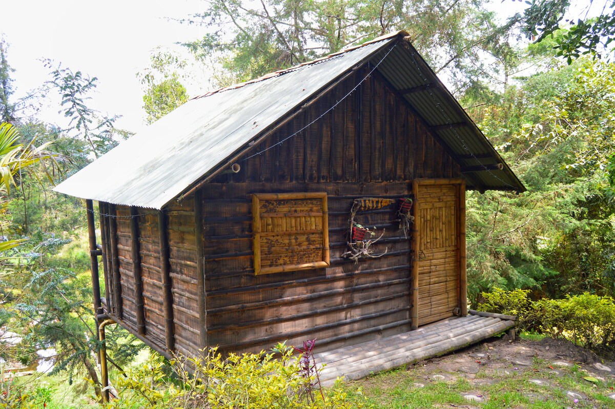 A rustic wooden cabin is positioned amidst lush greenery, featuring a sloped metal roof. The exterior includes two wooden windows adorned with decorative elements and a solid wooden door. A wooden deck extends in front, providing a natural setting surrounded by trees.