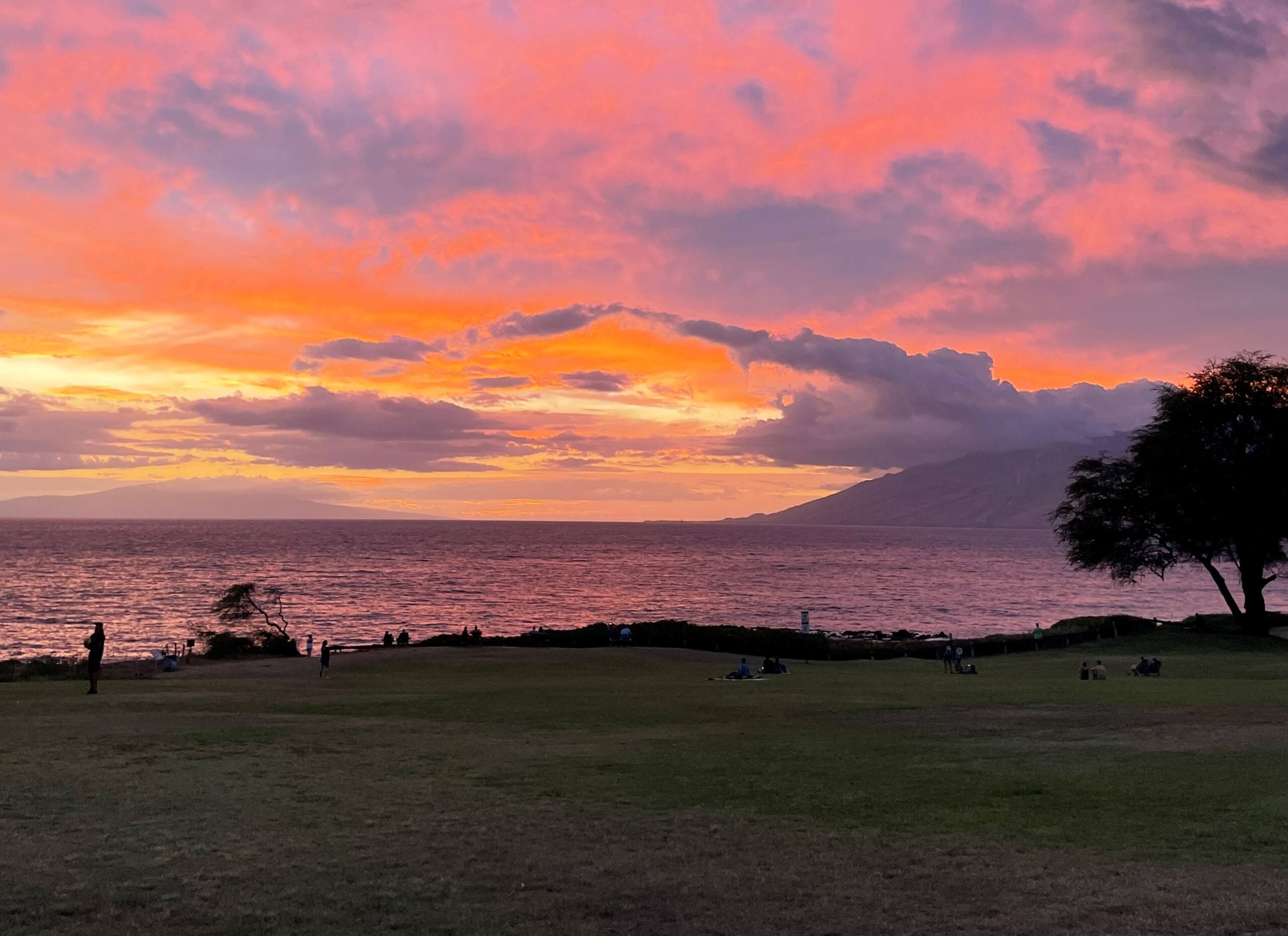 Home in Kihei · ★4.98 · 1 bedroom · 2 beds · 2 baths - Image 44
