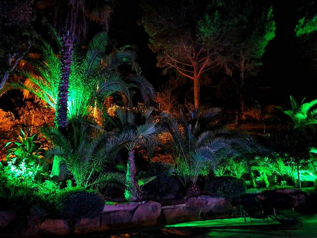 Vila Paradiso con piscina climatizada y bosque. gallery image 4