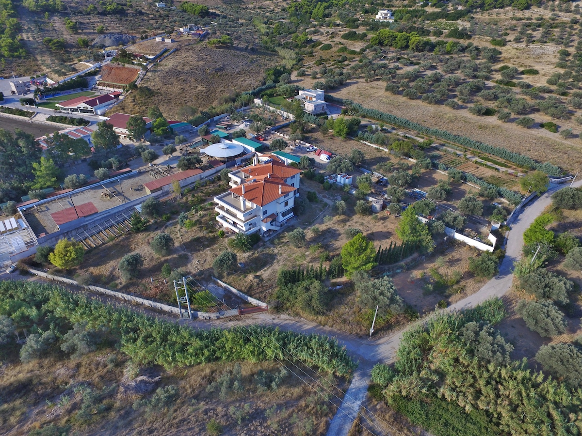 An aerial view of the property reveals a spacious layout with a well-maintained building featuring a red-tiled roof. Surrounding areas include green fields, tree-lined paths, and a variety of plant life, illustrating the estate's natural setting and open spaces.