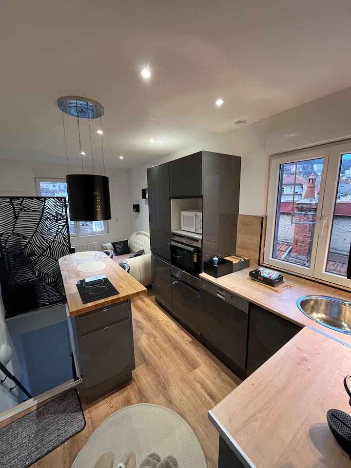 Appartement Charmant Au Centre Ville - Saint-Claude