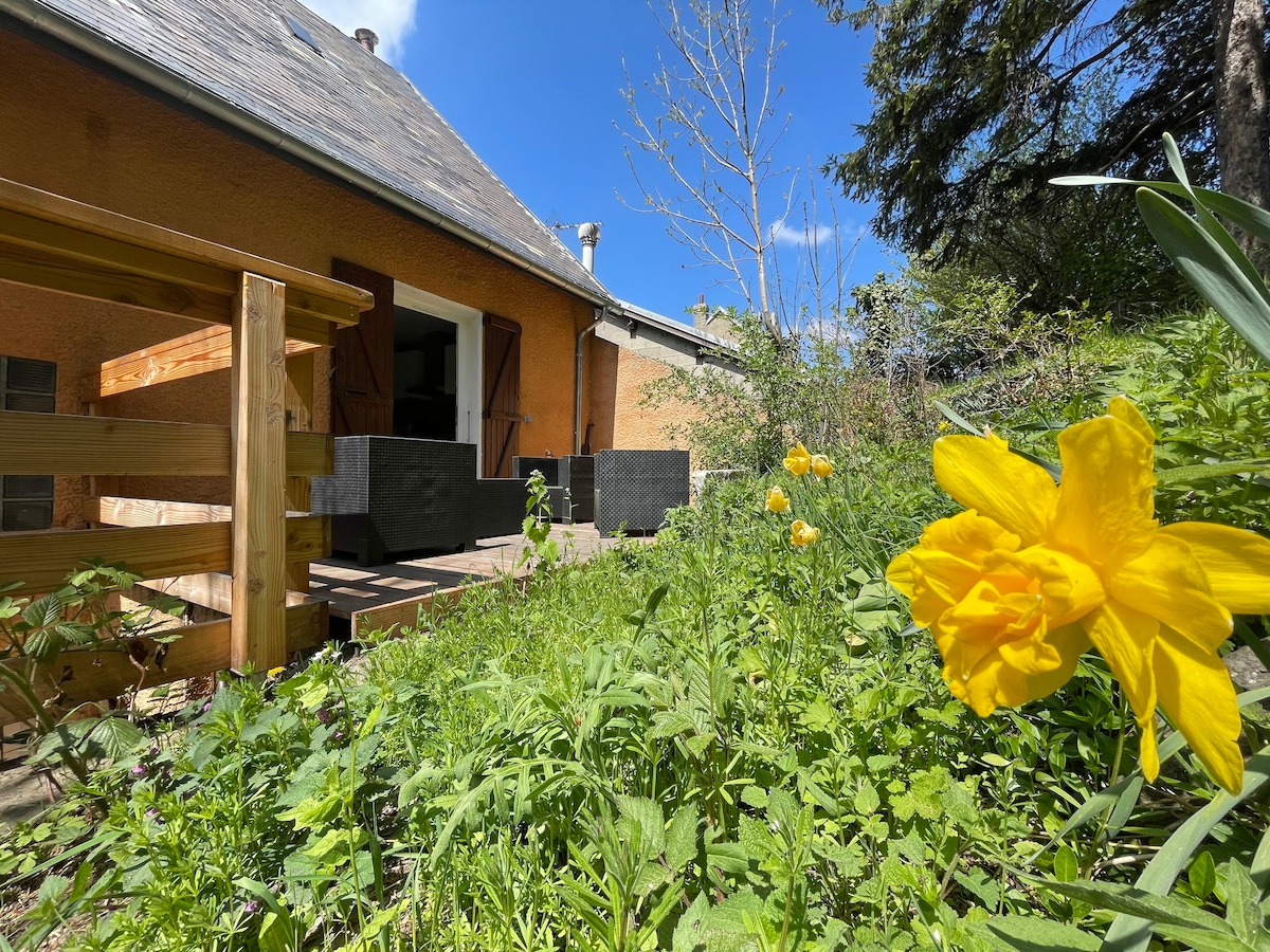 A serene outdoor space is depicted, showcasing vibrant yellow flowers growing among lush greenery. The image captures a portion of the house, highlighting a calm terrace area visible in the background, framed by trees and blue sky.