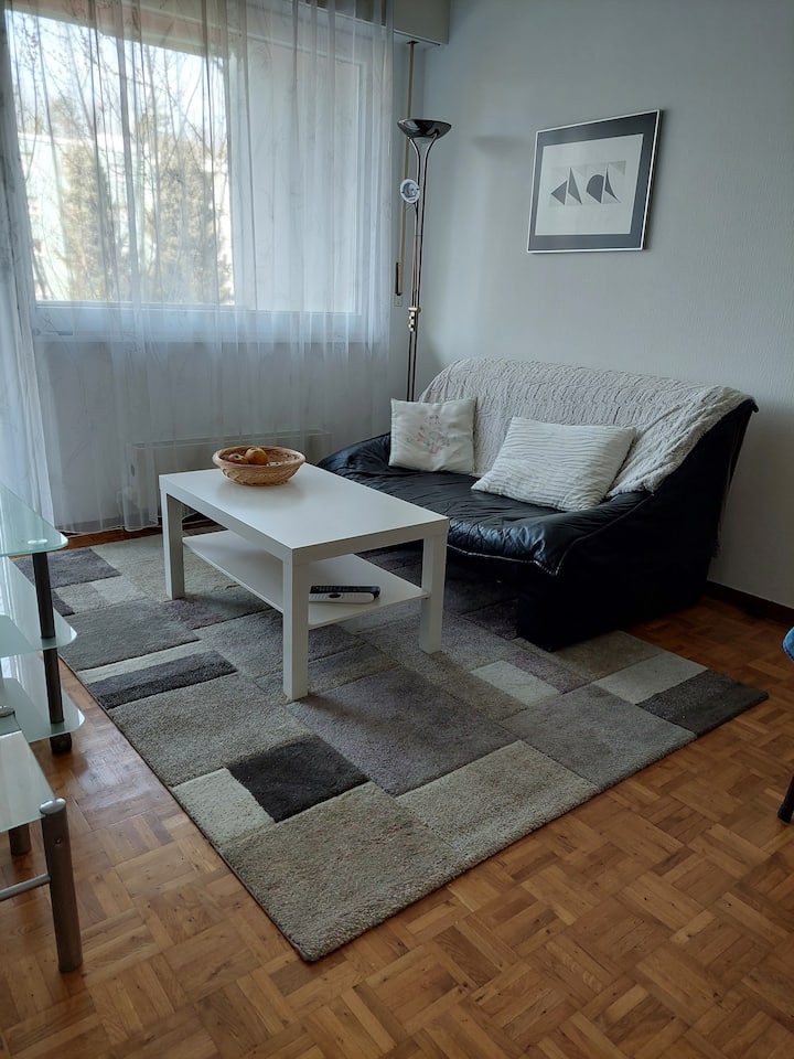 Charmant Appartement, Prêt Epfl Et Unil - Morges