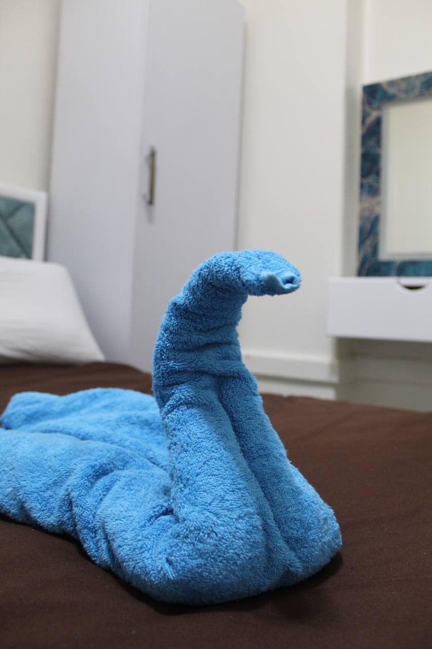A folded blue towel is displayed on the bed, artistically shaped to resemble a snake. The towel's soft texture contrasts with the brown bedspread, while a mirror and storage cabinet are visible in the background, contributing to the room's modern aesthetics.
