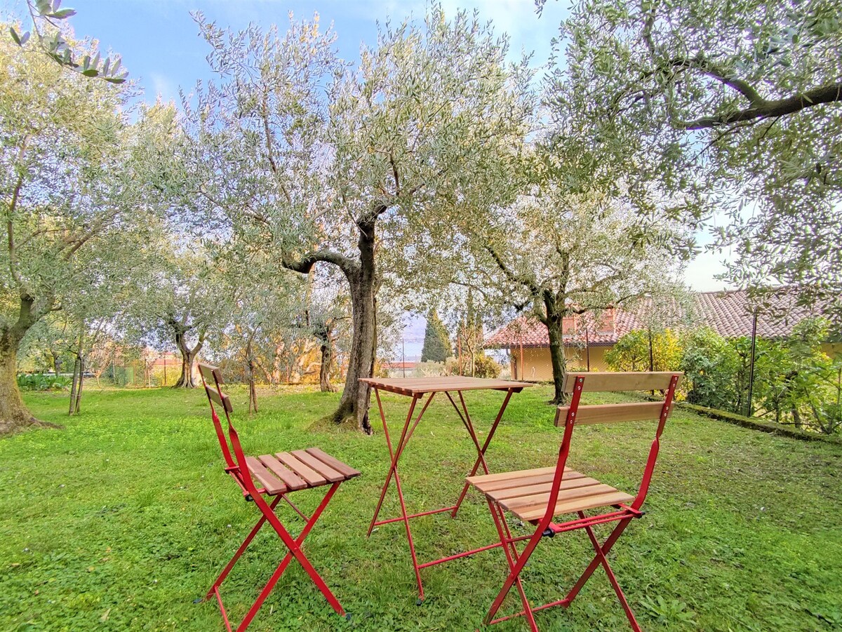 A small outdoor area is set with a wooden table and two matching folding chairs, surrounded by lush green grass and olive trees. The tranquil garden setting invites relaxation, while a glimpse of a nearby building is visible in the background.