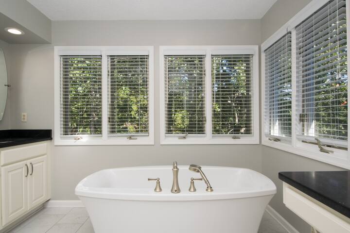 Asheville Mountain Home 5 BDRM Dog Frndly, Hot Tub gallery image 4