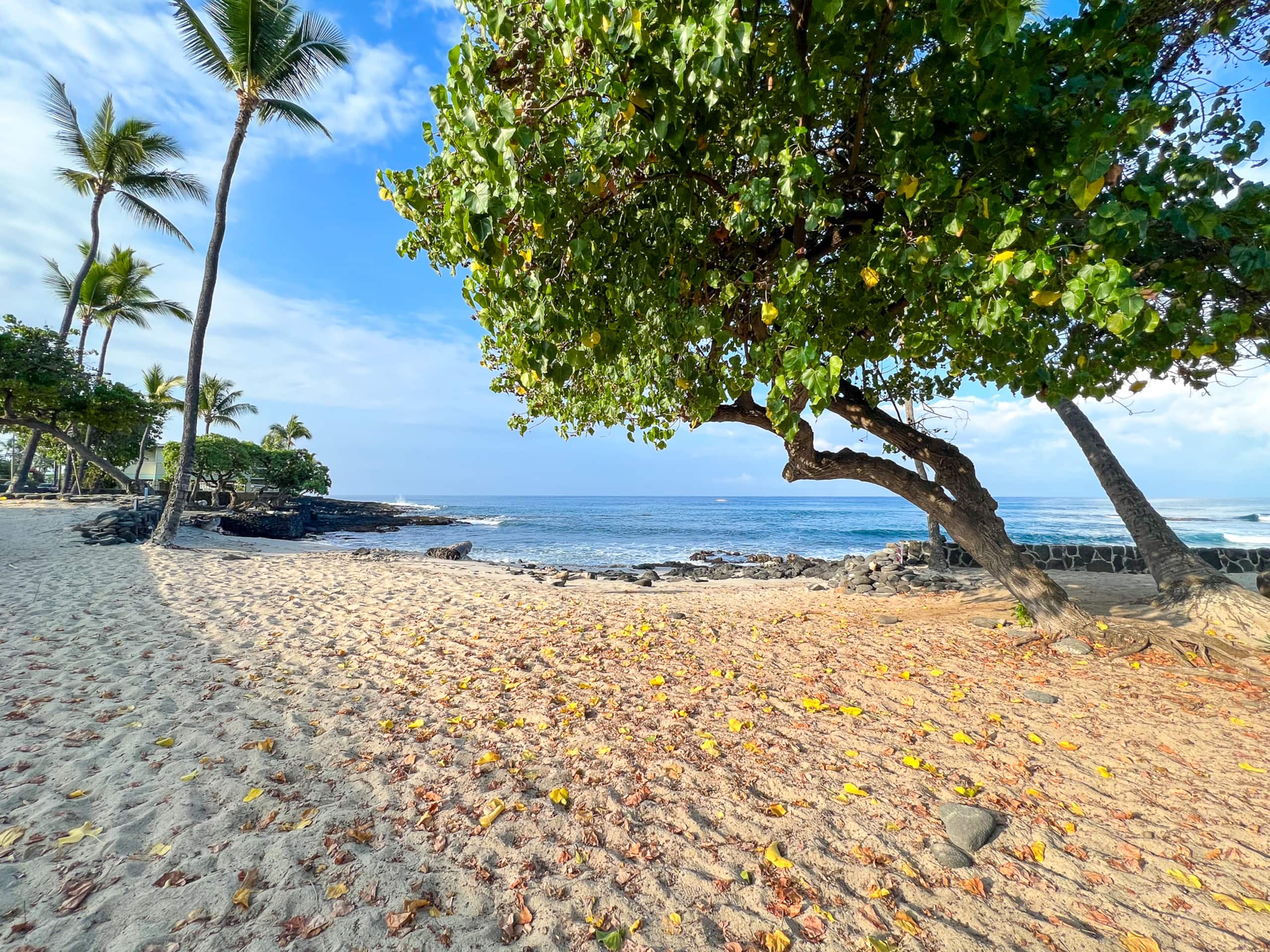 Condo in Kailua-Kona · ★4.94 · 1 bedroom · 1 bed · 1 bath - Image 14