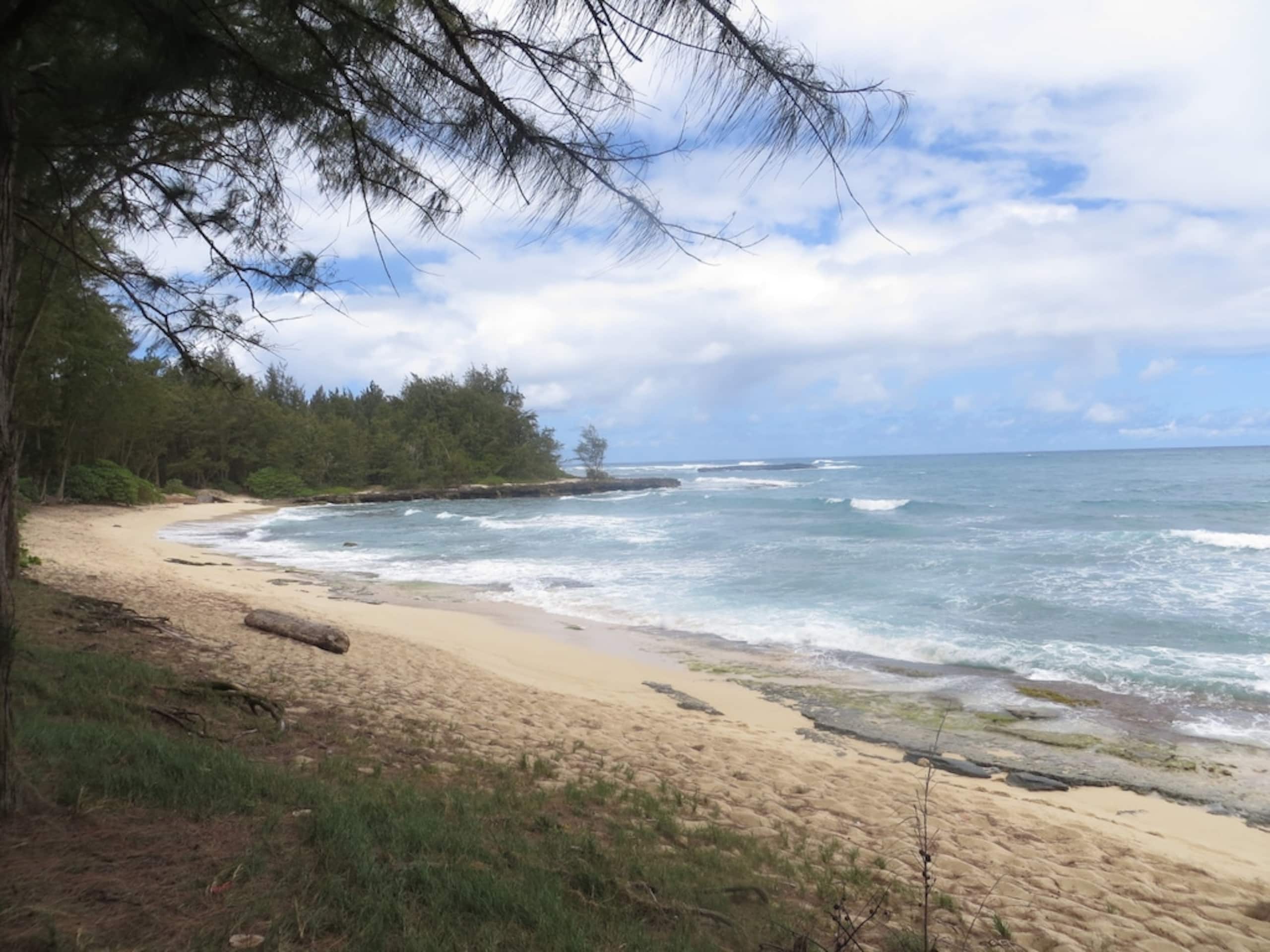 Condo in Kahuku · ★4.74 · 1 bedroom · 2 beds · 2 private baths - Image 18